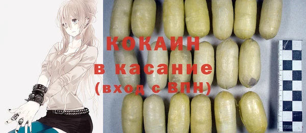 шишки Беломорск