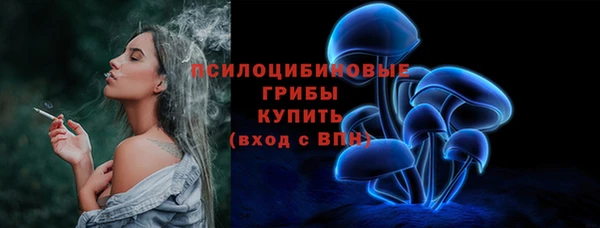 шишки Беломорск