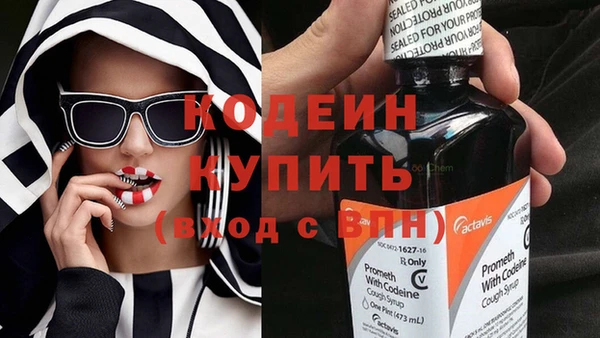 шишки Беломорск