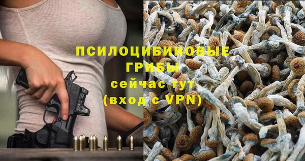 гидропоника Белоозёрский
