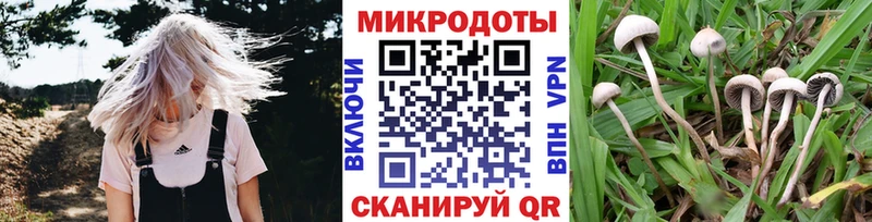 Галлюциногенные грибы мухоморы продажа наркотиков Очёр